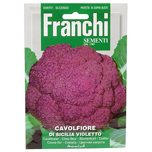 Sementi Di Ortaggi Di Qualita' Per Uso Hobbystico In Bustina Termosaldata (Cavolfiore Di Sicilia Violetto)