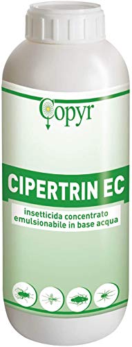 Copyr | Cipertrin Ec: Insetticida Concentrato Contro Insetti Volanti E Striscianti