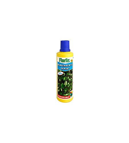 Rinverdente Sprint 500 G