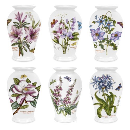 Portmeirion Botanic Garden Canton Vaso 20 Cm, Modelli Assortiti, 1 Pezzo