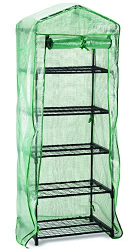 Serra 5 Piani Copertura Removibile In Pvc.