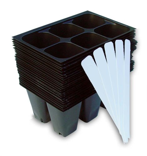 Industry Standard Grower'S Supply Seedling Starter Vassoi, 144 Celle: 24; 6-Celle Per Vaschetta, Plus 5 Etichette Per Piante