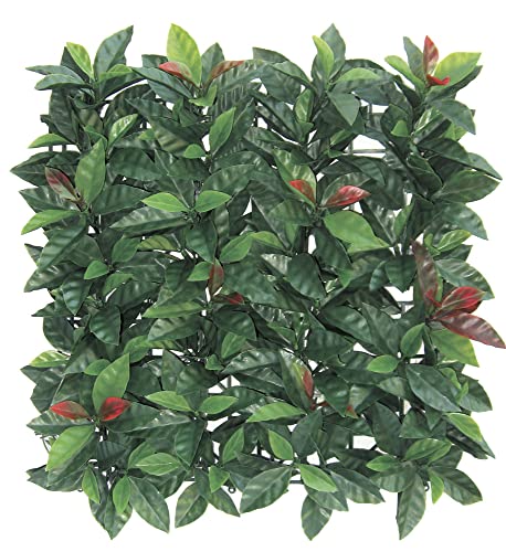 Verdelook Sempreverde® Plast, Siepe Artificiale 1X1 M, Foglia Photinia, Decorazioni Giardino