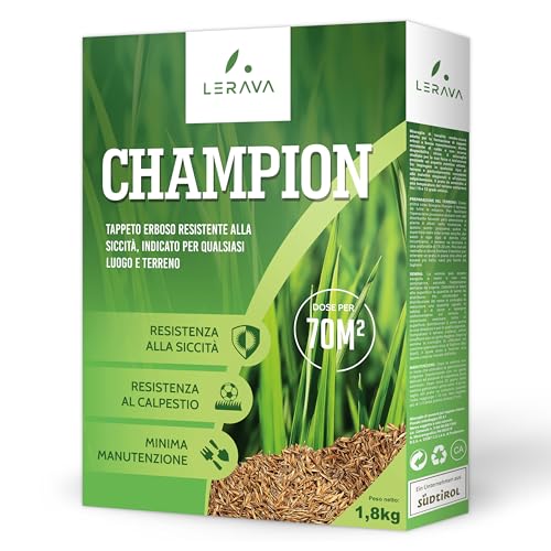 Lerava Champion - Semi Prato Resistente - Sementi Prato Resistenti Alla Siccità - Seme Prato Poca Acqua - Calpestabile - Adatti A Tutti I Luoghi E Tip