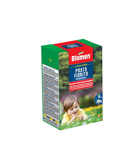 Prato Fiorito Con Margherite Blumen 200Gr