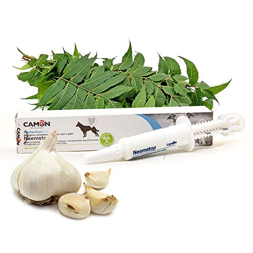 Camon - Nemastop - G920 1 Siringa 10 Gr (Imballaggio Puo' Variare)
