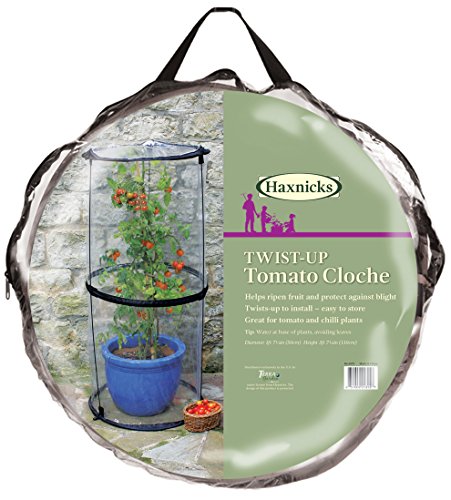 Tierra Garden Haxnicks - Campana In Tessuto Trasparente, 50 X 50 X 110 Cm
