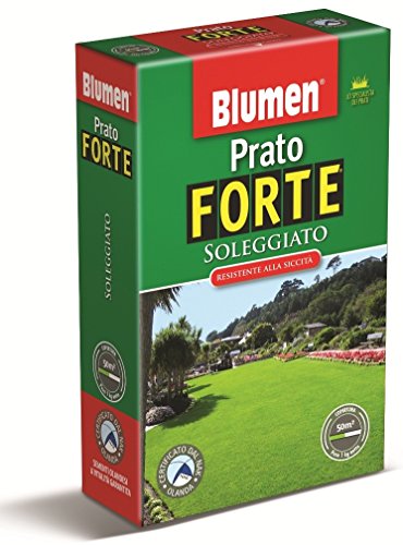 Prato Forte Soleggiato - Scatola Kg 1
