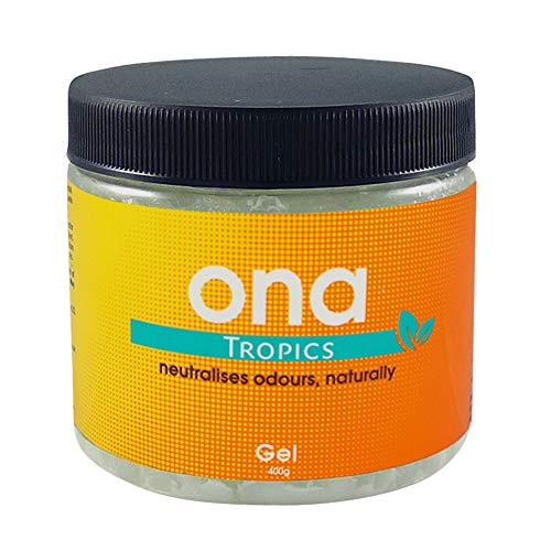 Onea, Gel Anti-Odore Naturale, 426 G/500 Ml