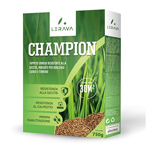Lerava Champion - Semi Prato Resistente - Sementi Prato Resistenti Alla Siccità - Seme Prato Poca Acqua - Calpestabile - Adatti A Tutti I Luoghi E Tip