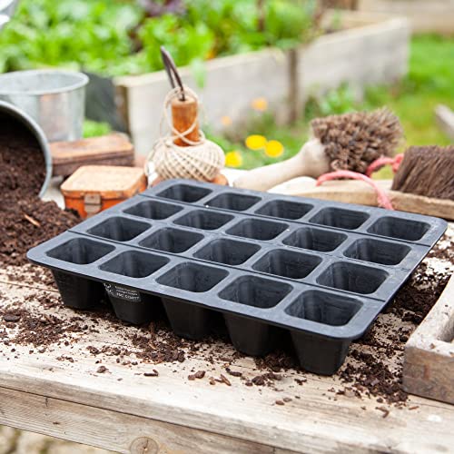 Wildlife World Vassoio Per Semi In Gomma Naturale, Commercio Equo E Solidale, Senza Plastica, 20 Celle