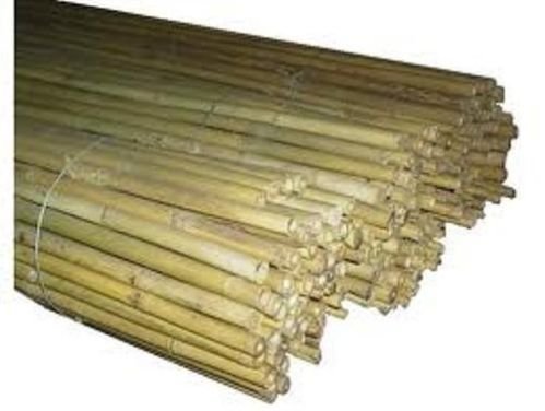 10 Canne Bamboo Bambù Pareti Divisorie Pali Pomodori Piante Rampicanti H. 210 Cm Diametro 24-26