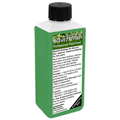 Green24 - Fertilizzante Liquido Per Bosso E Agrifoglio