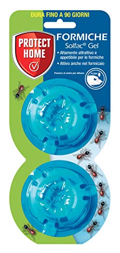 Protect Home Solfac Gel Box: Attrattivo Ed Appetibile Per Le Formiche, 2 X 2 Gr
