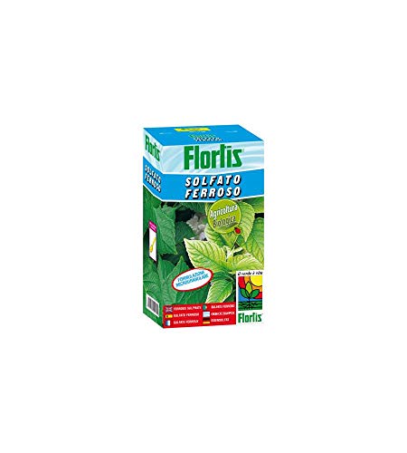 Solfato Ferroso 1000 G Fes04