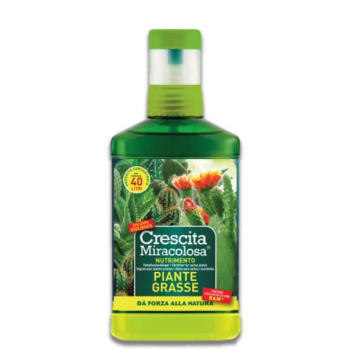 Crescita Miracolosa Nutrimento Piante Grasse, 7.5X3.5X18 Cm