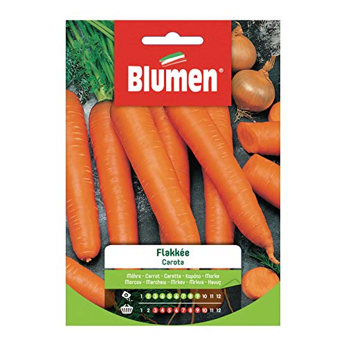 Blumen Sementi, Carota Flakkee