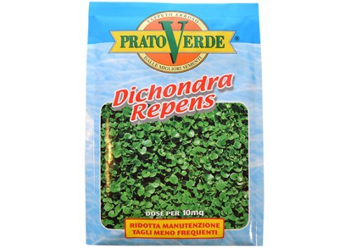 Ferri Sementi - Dichondra Repens X 100 Gr