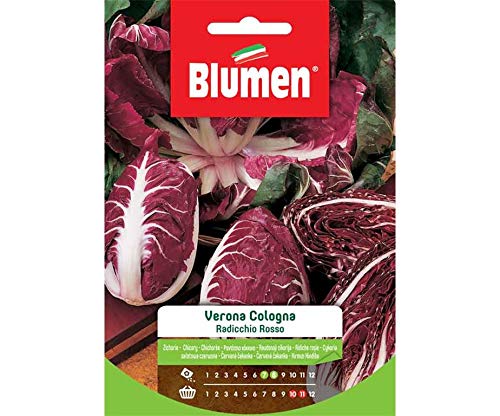 Blumen Sementi, Radicchio Rosso Verona Cologna