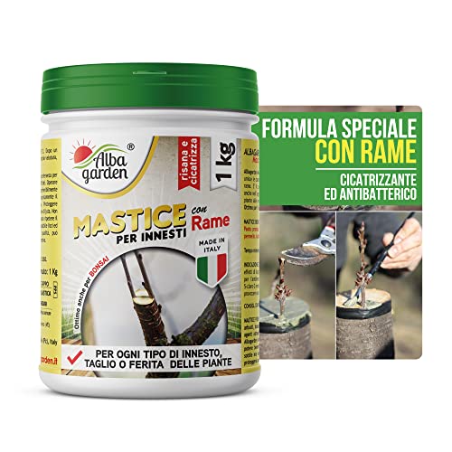 Albagarden - Mastice Per Innesti E Potature ++ Con Rame ++ Antibatterico Pasta Cicatrizzante Curativa Per Ferite Piante Alberi Arbusti Kit Bonsai X 1