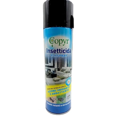 Spray Insetticida Per Pesciolini D'Argento, A Base Di Piretro, Con Cannuccia, Per Casa E Uffici, Pronto All'Uso: Flyspray