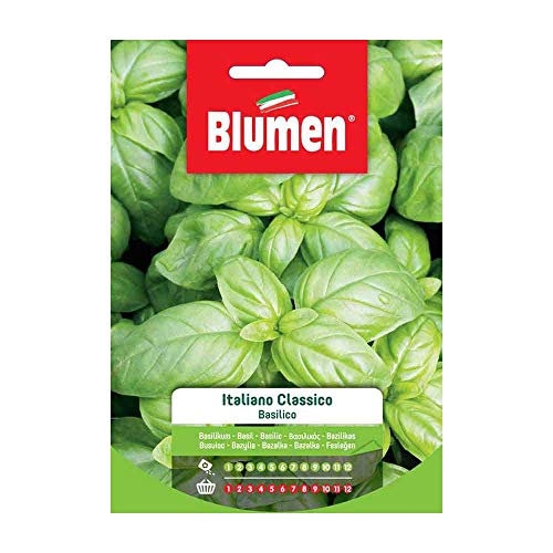Semi Basilico Italiano Classico Genovese Blumen Sementi Orto