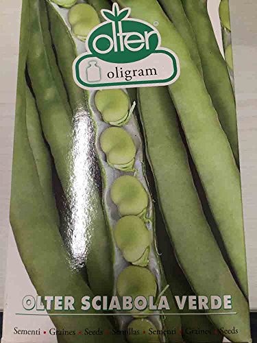 Olter Seme Fava Sciabola Verde 1Kg