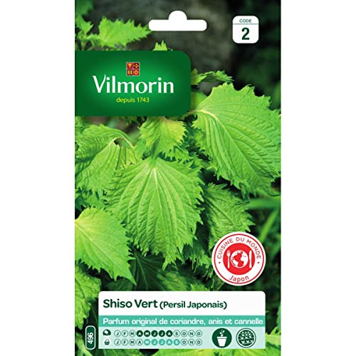 Vilmorin - Pacchetto Di Semi Di Shiso Verde (Prezzemolo Giapponese)