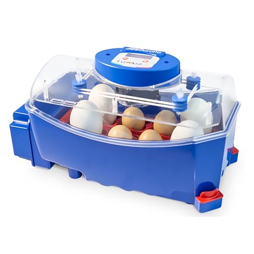 Borotto Lumia 8 Automatica - Incubatrice Per Uova Professionale Brevettata, Con Girauova Automatico - Per 8 Uova Medio/Grandi O 32 Uova Piccole