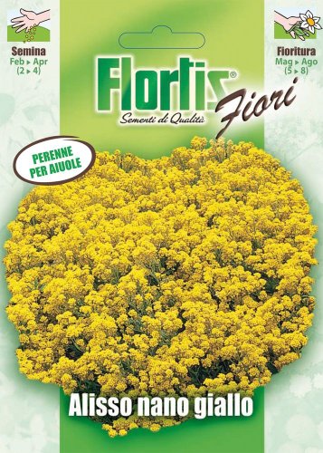 Alisso Nano Giallo