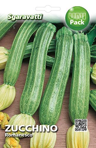Sgaravatti Busta Semi Orto Zucchino Romanesco
