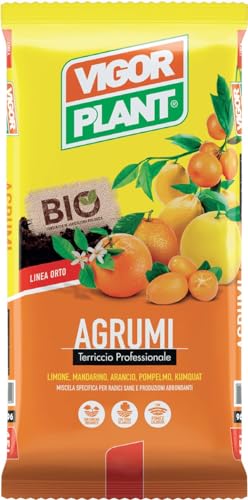 Terriccio Per Agrumi 20