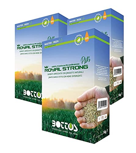 Semi Per Prato Royal Strong Plus 1 Kg Offerta 3 Confezioni, Sementi Conciate, 100% Festuca Arundinacea Tappeto Erboso