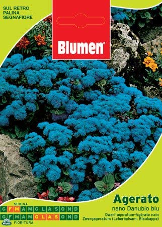 Sementi Di Agerato Nano Danubio Blu Giardino Semi Seeds Fiori Blumen