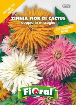 Sementi Da Fiore Di Qualità In Bustina Per Uso Amatoriale (Zinnia Fior Di Cactus Doppia In Miscuglio)