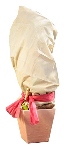 Windhager Superprotect-Pile Invernale, Colore: Beige 06722-Pile Termico Da Giardino, Protezione Antigelo Per Alberi E Piante, 1,5 X 3 M, 70 G, 1.5 X 3
