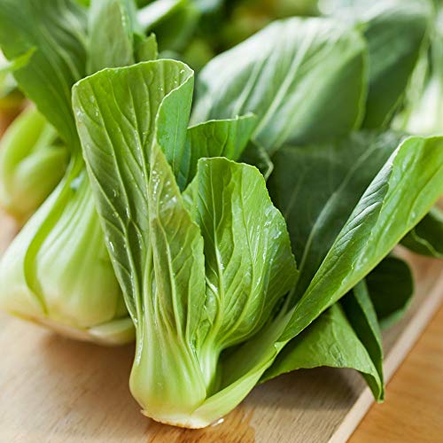 Sali Di Choi Di Cavolo Cinese - Brassica Chinensis