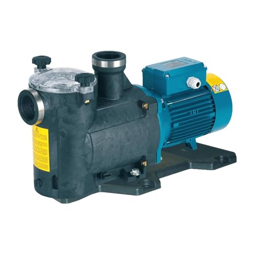 Elettropompa Per Piscina Mpcm 31/A Hp 1 Volt 220 Calpeda