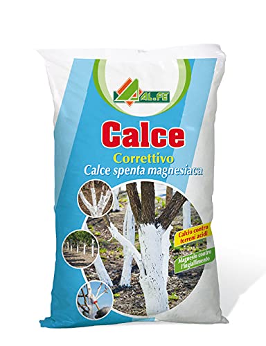 Calce Spenta Magnesiaca Confezione Da 4 Kg