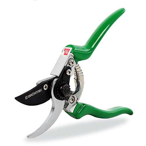 Grüntek Forbici Cesoie Per Potatura E Vendemmia Giardino Professionali 215 Mm Falco Verdi