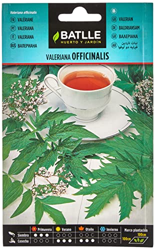 Semi Di Erbe Di Batlle - Valerian Officinalis (Seeds - 100Cm)