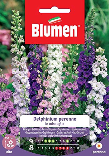 Delphinium Perenne In Mix