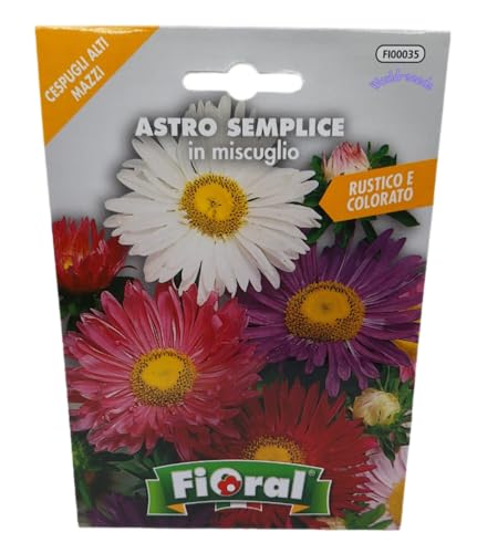 Semi Fiori Astro Semplice Margherita Mix Colori Fiore Seeds Semillas Graines