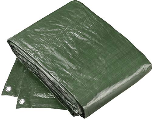 Connex Flor80400 - Telo Di Copertura, 2 X 3 M, 100 G