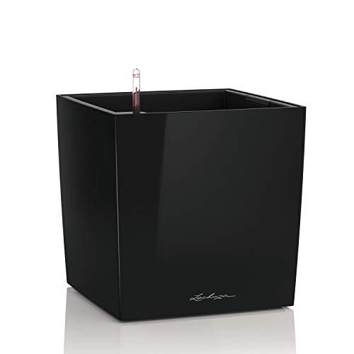 Lechuza Cube Premium 50 Nero Lucido 16569