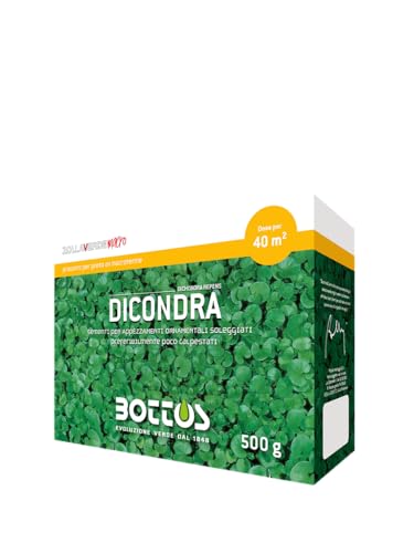 Bottos Dicondra, Semi Per Prato Dichondra Repens, Basse Richieste Manutentive, Ottima Resistenza All'Ombra, Ideale Per Aiuole E Banchine, Foglie Cuori