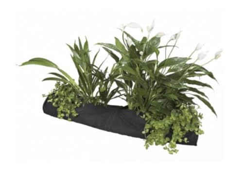 Velda 127594 - Contenitore Per Piante Per Diverse Piante Acquatiche, 80 X 10 Cm