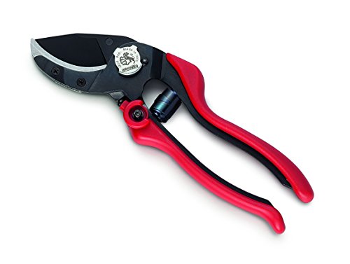 Ausonia - Forbice Vigna Professionale Evo 6 Cm 20