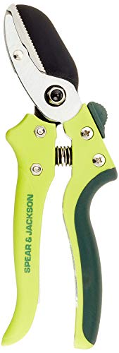 Spear & Jackson 7158Kew Kew Gardens Collection Razorsharp - Cesoie A Incudine Medie