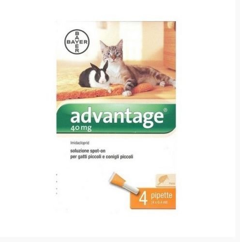 Bayer Advantage Antipulci Per Gatti Sotto I 4 Kg Antiparassitario Fialette